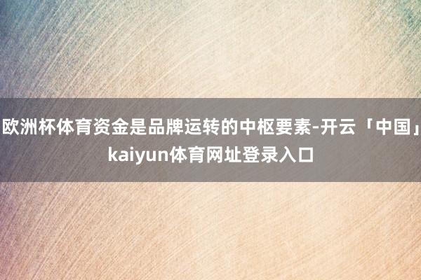 欧洲杯体育资金是品牌运转的中枢要素-开云「中国」kaiyun体育网址登录入口