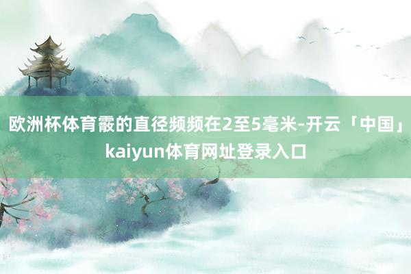欧洲杯体育霰的直径频频在2至5毫米-开云「中国」kaiyun体育网址登录入口