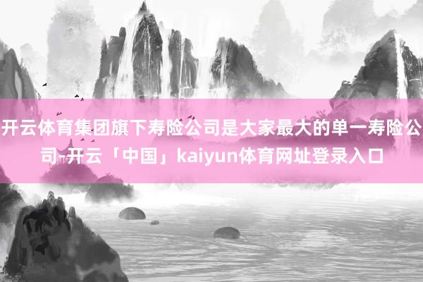 开云体育集团旗下寿险公司是大家最大的单一寿险公司-开云「中国」kaiyun体育网址登录入口