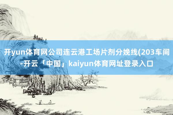 开yun体育网公司连云港工场片剂分娩线(203车间-开云「中国」kaiyun体育网址登录入口