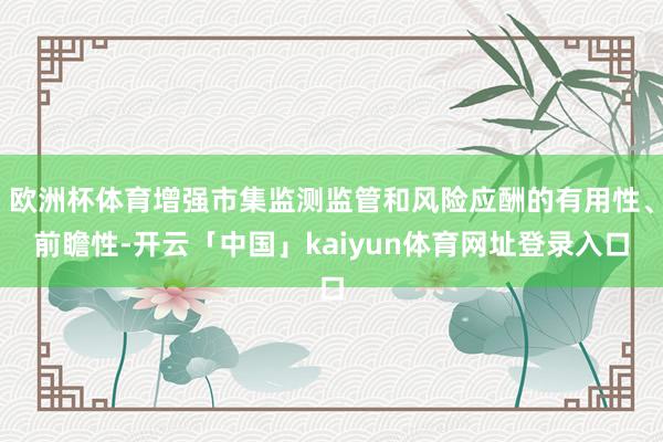 欧洲杯体育增强市集监测监管和风险应酬的有用性、前瞻性-开云「中国」kaiyun体育网址登录入口