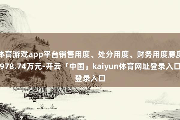 体育游戏app平台销售用度、处分用度、财务用度臆度978.74万元-开云「中国」kaiyun体育网址登录入口