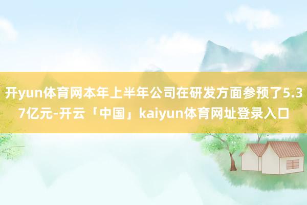 开yun体育网本年上半年公司在研发方面参预了5.37亿元-开云「中国」kaiyun体育网址登录入口