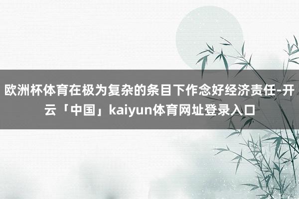 欧洲杯体育在极为复杂的条目下作念好经济责任-开云「中国」kaiyun体育网址登录入口