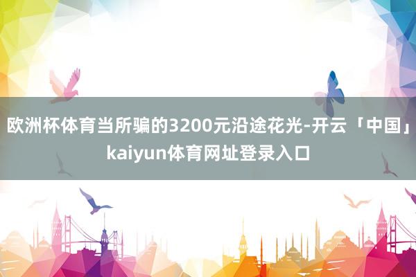 欧洲杯体育当所骗的3200元沿途花光-开云「中国」kaiyun体育网址登录入口