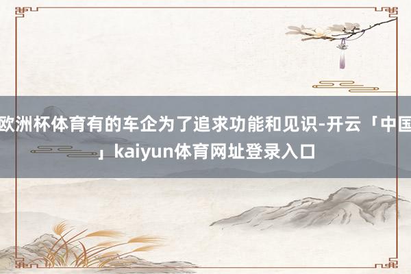 欧洲杯体育有的车企为了追求功能和见识-开云「中国」kaiyun体育网址登录入口
