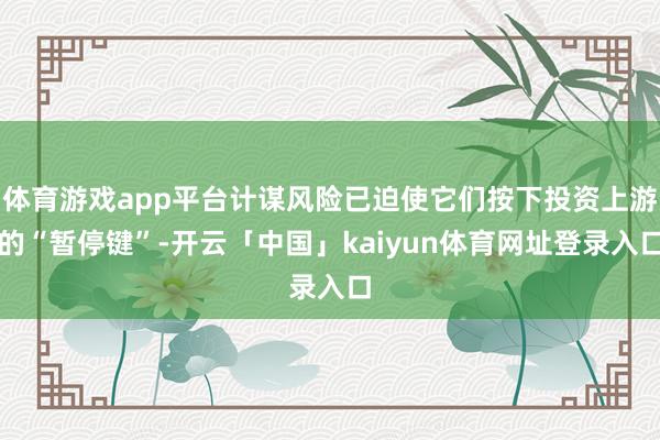 体育游戏app平台计谋风险已迫使它们按下投资上游的“暂停键”-开云「中国」kaiyun体育网址登录入口